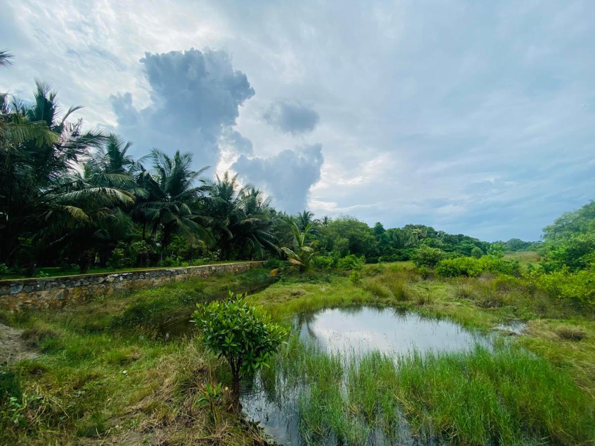 Hidden Garden Tangalle Bagian luar foto