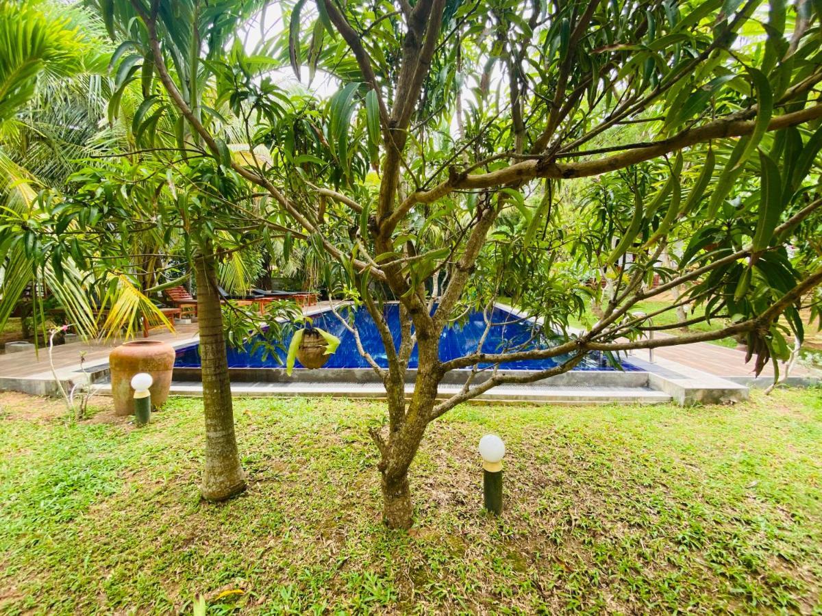 Hidden Garden Tangalle Bagian luar foto
