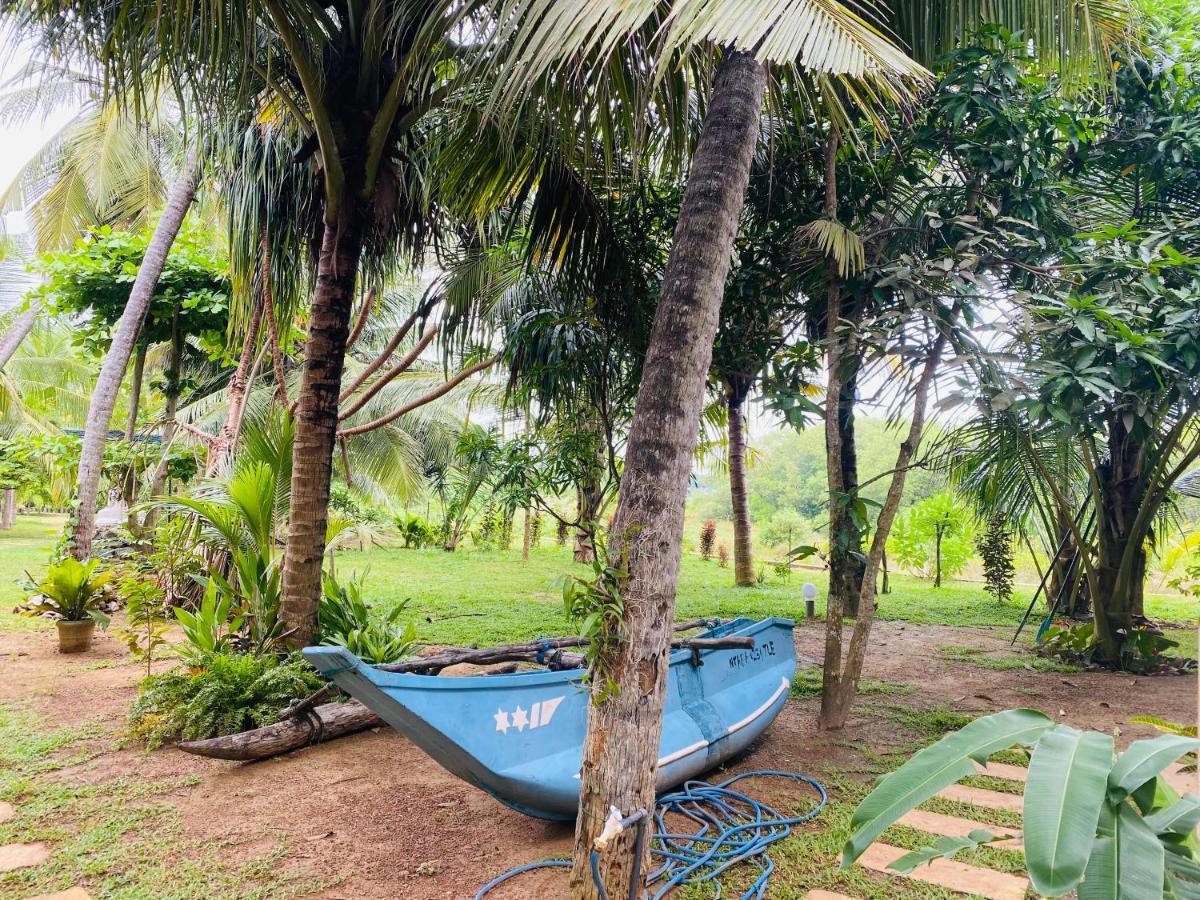 Hidden Garden Tangalle Bagian luar foto